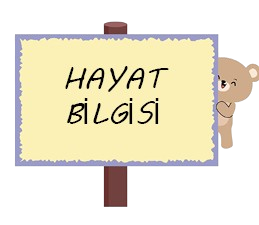 Hayat Bilgisi