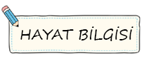 2. sınıf hayat bilgisi defter notu