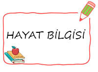 2. Sınıf Hayat Bilgisi Test