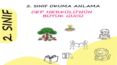2. sınıf okuma anlama soruları - Cep Herkülü