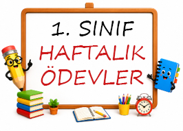 1. Sınıf