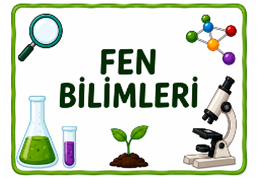 Fen Bilimleri
