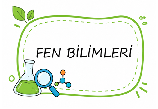 Fen Bilimleri
