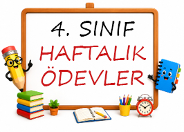 4. Sınıf
