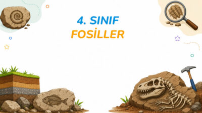 4. Sınıf Fosiller Etkinliği PDF dokümanı, fen bilimleri dersinde geçmişte